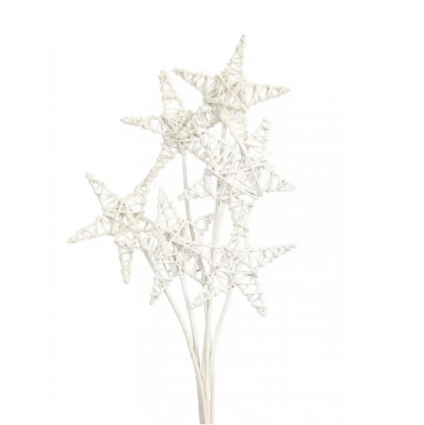 White Glitter Lata Star