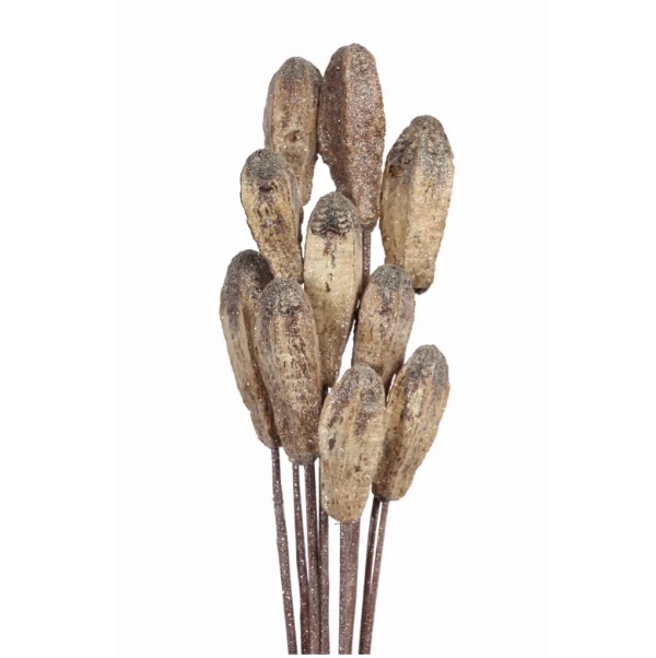 Frosted Mahogany Pods