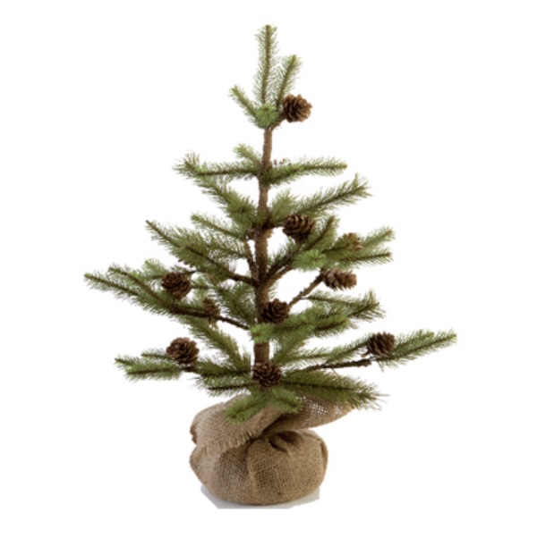 Empire Tree with Cones