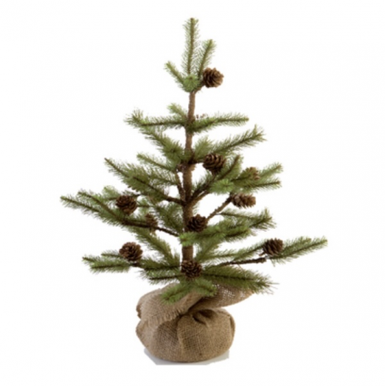 Empire Tree with Cones