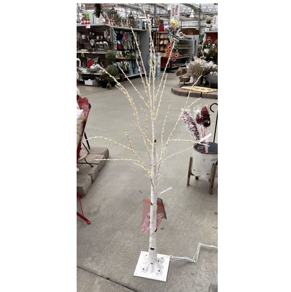 Birch Trees with Clear Lights 4'