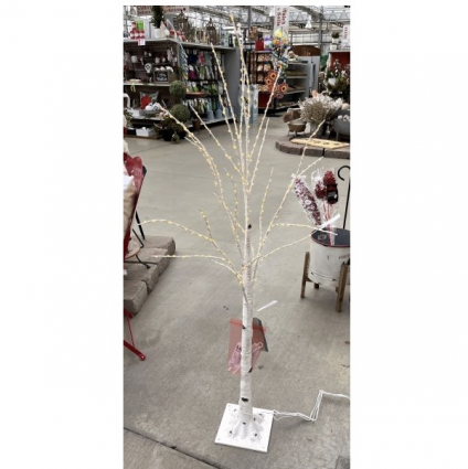 Birch Trees with Clear Lights 4'