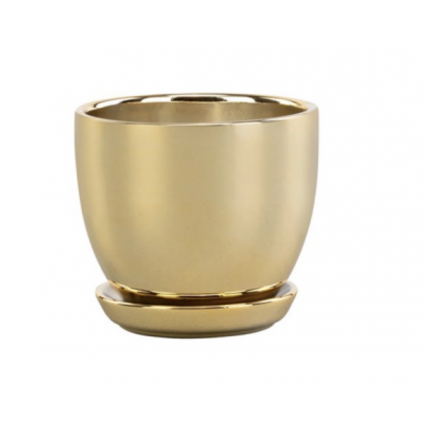 Gold Pot with Saucer