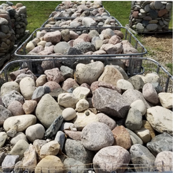 Canadian Colored Cobblers 4"8"